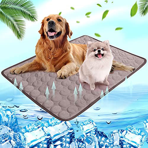 Shujin Kühlmatte Hunde Katzen für Sommer Kühlende Haustiermatte Selbstkühlend Waschbar Kühlpad wasserdichte Kühlkissen rutschfeste Komfortabel Kühlbett(Kaffeebraun,L (70 * 55 cm)) von Shujin