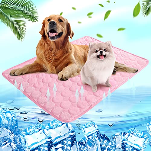 Shujin Kühlmatte Hunde Katzen für Sommer Kühlende Haustiermatte Selbstkühlend Waschbar Kühlpad wasserdichte Kühlkissen rutschfeste Komfortabel Kühlbett(Rosa,L (70 * 55 cm)) von Shujin