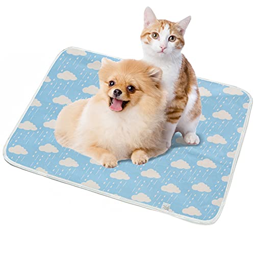 Shujin Trainingsunterlagen für Welpen Waschbare Pee Pad Saugfähig Wiederverwendbar Unterlage Urin Trainingsmatte weiche Haustierunterlage für Hunde und Katzen(Blaue Wolken,35x45cm) von Shujin