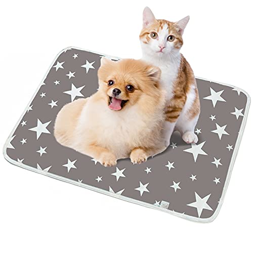 Shujin Trainingsunterlagen für Welpen Waschbare Pee Pad Saugfähig Wiederverwendbar Unterlage Urin Trainingsmatte weiche Haustierunterlage für Hunde und Katzen(Graue Sterne,35x45cm) von Shujin