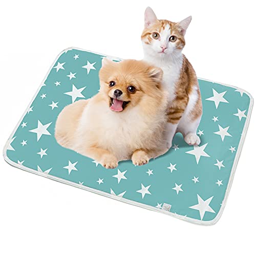 Shujin Trainingsunterlagen für Welpen Waschbare Pee Pad Saugfähig Wiederverwendbar Unterlage Urin Trainingsmatte weiche Haustierunterlage für Hunde und Katzen(Grüne Sterne,50x70cm) von Shujin