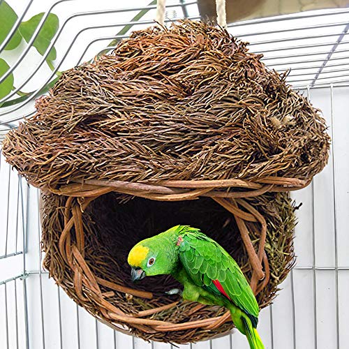 Shujin Vogelnest Nistkästen für Vögel zum Aufhängen Gemütlicher Ruhe Platz für Vögel,Handgewebte Vogel Grashaus Häuser Nest Perfekt für Fink & Kanarienvogel von Shujin