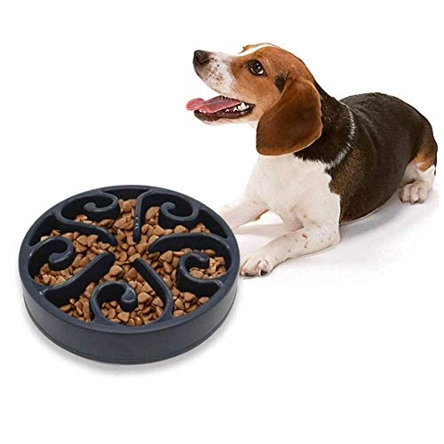 Futternapf Katze Hundenapf Hund Puzzle Feeder Slow Feeder Fressnapf Anti Gulp Hundenapf Labyrinth interaktive Katze Schüssel Katzenfutterschale Black von Shulishishop