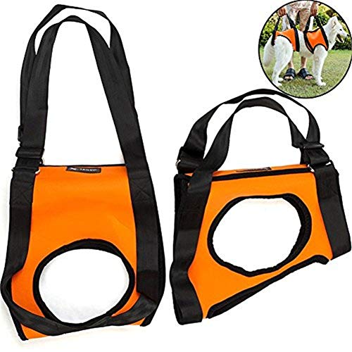 Geschirr Hund Hundegeschirr Hundetraggeschirr für Treppen hoch und runter Hundetragling Hundestützgurt für die Hinterbeine orange,Set-m von Shulishishop