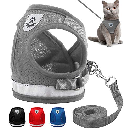 Hundegeschirr Katzenleine Hundegeschirr und Bleisätze Hundegeschirr groß ohne ziehen Hundeleine für kleine Hunde Hundewestengeschirr Gray,s von Shulishishop