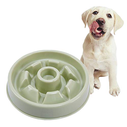 Hundenapf Anti Schling Napf Hunde Katzen Puzzle Feeder Spaß, der Hundenapf herumsucht Anti Gulp Hundenapf Große Hundenapf Hundenäpfe Medium Green-1 von Shulishishop