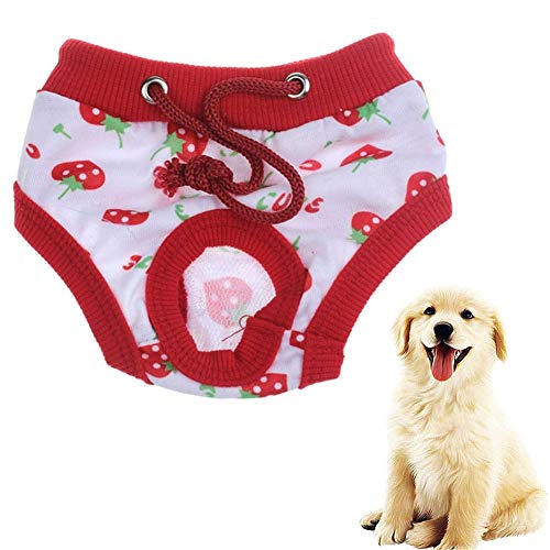 Hundewindeln FüR HüNdinnen Inkontinenz Hundewindeln RüDe Hundesaison Hose groß Hundehosen Hundewindeln Weibliches Medium Hund Windel männlich White,22 von Shulishishop