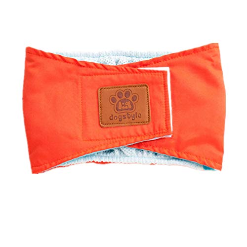 Hundewindeln Hundewindeln RüDe Hunde Windeln für Hunde Windeln für Rüden Hundesaison Hosen Hygienehosen für Hunde Hund Windeln männlich Windeln orange,Large von Shulishishop