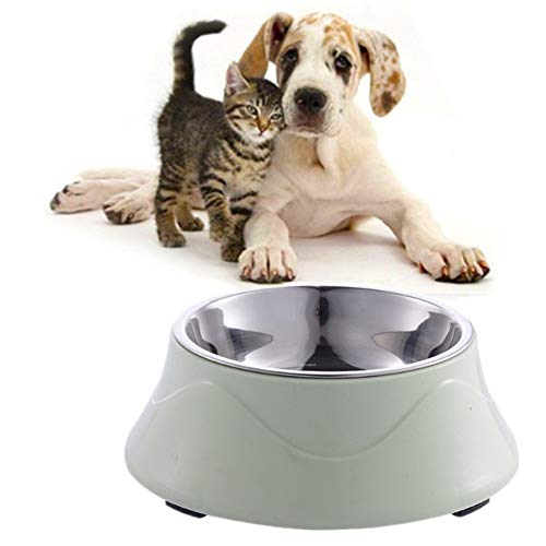 Katzennapf Katzennapf rutschfest rutschfeste Cat Bowl Hundefutter Und Wasserschüssel Hundenäpfe rutschfest Hundeschalen Und -schüsseln Green von Shulishishop