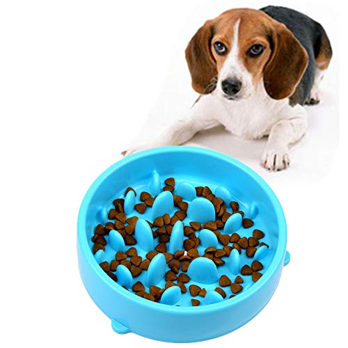 Katzennapf rutschfest Futternapf Katze Labyrinth interaktive Katze Schüssel Dog Treat Puzzle Spielzeug Große Hundenapf Katzen Puzzle Feeder Blue von Shulishishop