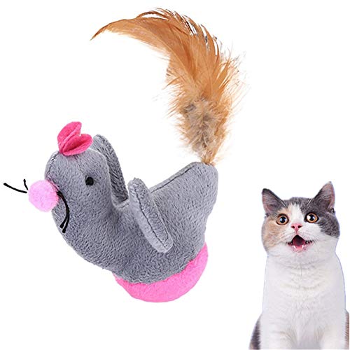 Shulishishop Cat Toy Katzenspielzeug Maus Cat Treat Spielzeug Katze Spielzeug Bälle Interaktives Katzenspielzeug Interaktives Katzenspielzeug für Indoor-Katzen Bird von Shulishishop