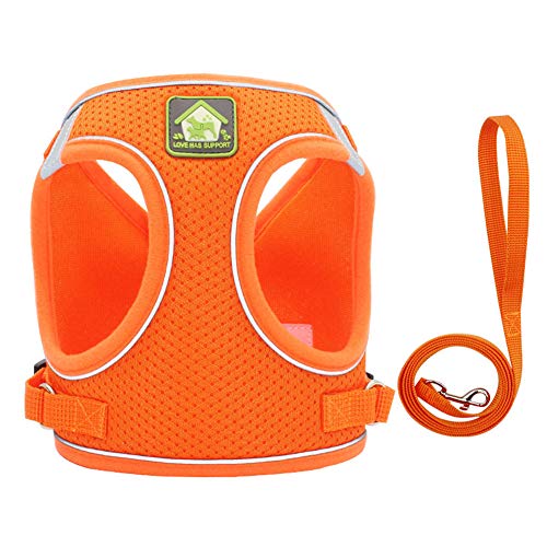 Shulishishop Hunde Leine Hundegeschirr Kein Zuggurt für Hunde Kleine Hundegeschirre Verstellbarer Hundegeschirr Mops Rettungsgeschirr Hundegeschirr und Bleisätze L,orange von Shulishishop