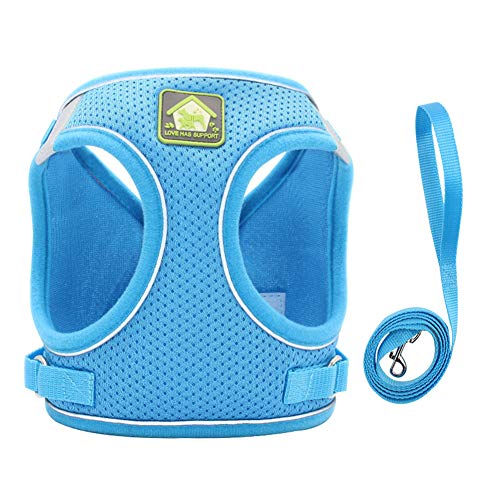 Shulishishop Hunde Leine Hundegeschirr Kein Zuggurt für Hunde Kleine Hundegeschirre Verstellbarer Hundegeschirr Mops Rettungsgeschirr Hundegeschirr und Bleisätze XL,Blue von Shulishishop