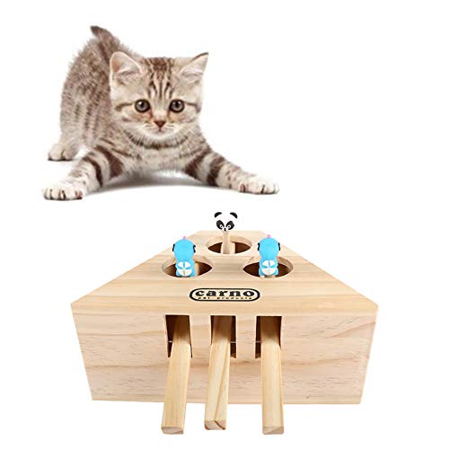 Shulishishop Katzenspielzeug Haustier Spielzeug Katzenübungsspielzeug Pet Entertainment Spielzeug Katzenspielzeug für Indoor-Katzen Holzpuzzle Box von Shulishishop