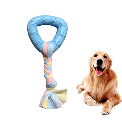 Shulishishop hundespielzeug für kleine Hunde Intelligenz welpenspielzeug Set Hund Hund kaut Lange anhaltende natürliche Hund Spielzeug für langeweile Triangle,Blue von Shulishishop