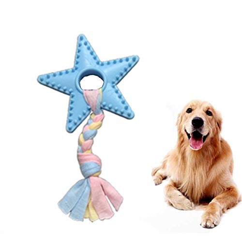 Shulishishop hundespielzeug für kleine Hunde Intelligenz welpenspielzeug Set Hund Hund kaut Lange anhaltende natürliche Hund Spielzeug für langeweile barbedstar,Blue von Shulishishop