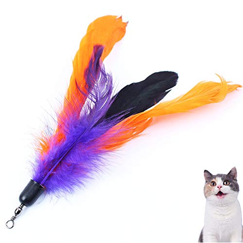 Shulishishop katzenangel cat Toy Katzenfederspielzeug Katzen Zauberstab Spielzeug Katzenstab Katzen Angelruten Spielzeug Katzenspielzeugstock e von Shulishishop