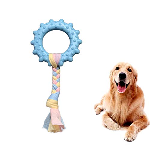 Shulishishop welpenspielzeug Set welpenspielzeug Set Hund Kauen für Hund Welpen kauen Spielzeug Hund kauen Geweih kaut für Hunde Hund kaut Sun,Blue von Shulishishop