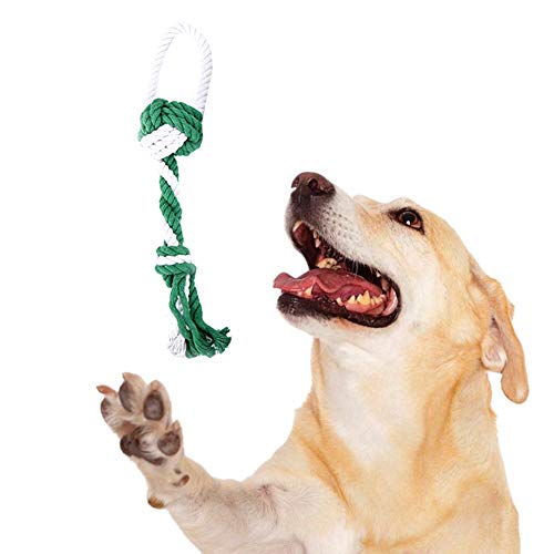 Shulishishop welpenspielzeug welpenspielzeug Set Welpen kauen Spielzeug Tough Hund Spielzeug Welpen Spielzeug von 8 wochen Hund kauen Spielzeug Hund kaut Green von Shulishishop