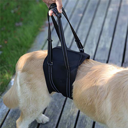 Tragehilfe Hund Geschirr Hund Hüftstütze für Hunde Pet Sling Carrier Hundetragling Gehhilfe für Haustiere Black,l von Shulishishop