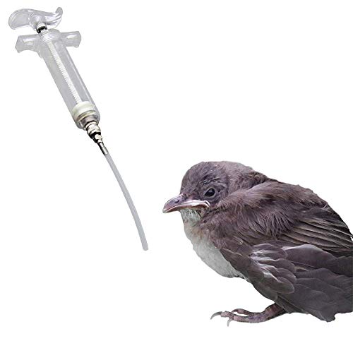 Vogelfutterspender Spritze Vogelfütterung Nymphensittich Feeder Spritze Wellensittich Feeder Vogel Wasserspender Papageienfutterautomat 100ml,3mm*10cm Tube von Shulishishop