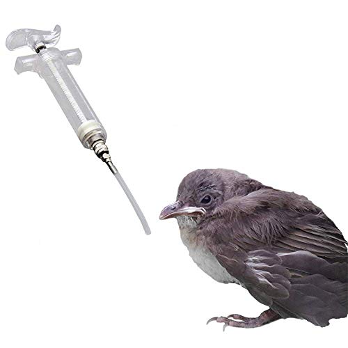 Vogelfutterspender Spritze Vogelfütterung Nymphensittich Feeder Spritze Wellensittich Feeder Vogel Wasserspender Papageienfutterautomat 100ml,4mm*5cm Tube von Shulishishop