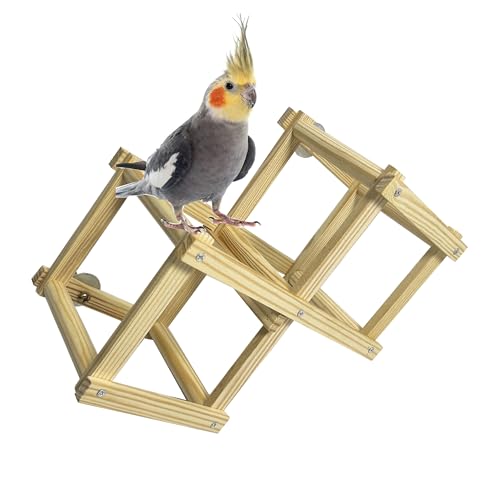 Shuoxpy Vogelsitzstangen aus Naturholz, Vogelspielzeug, Spielplatz, Vogelspielzeug, Vogelkäfigzubehör, Vogelspiel-Fitnessstudio, Laufstall für Sittiche, Nymphensittiche (Braun, M) von Shuoxpy