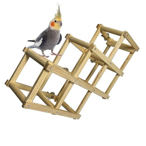 Shuoxpy Vogelsitzstangen aus Naturholz, Vogelspielzeug Spielplatz, Vogelspielzeug, Vogelkäfig-Zubehör, Vogelspiel-Fitnessstudio, Laufstall für Sittiche, Nymphensittiche (Braun, L) von Shuoxpy