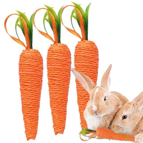 Shurzzesj Karottenspielzeug für Hunde, Karottenkauspielzeug für Kaninchen - 3-teiliges Hundespielzeug,Hundespielzeug, Kaninchenspielzeug, Hasen-Kauspielzeug, Hasenzahn-Backenzahnspielzeug, von Shurzzesj