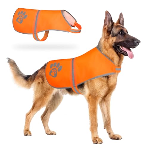 SiKiWagz Sicherheitsweste für Hunde mit reflektierenden Streifen, strapazierfähiges Nylon, leicht anzubringendes Klettverschluss-Design, für alle Hundegrößen XS-XL, Orange (Größe M) von SiKiWagz