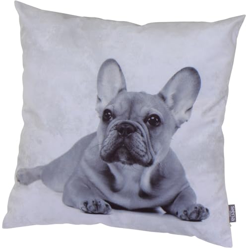 Siena Home Dekokissen ORA, Dessin Französische Bulldogge Velvet 100% Polyester, Dessin 303-Französische Bulldogge von Siena Home