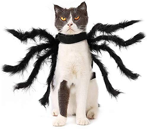 Siikarte Halloween-Kostüm für Hunde und Katzen, lebensechte Plüschspinne, verstellbar, Cosplay-Bekleidung, Party-Dekoration von Siikarte