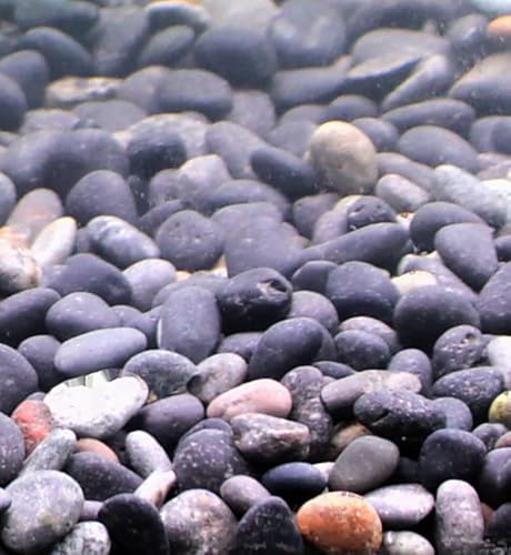 Silbermann Dark Gravel, dunkler Aquarienkies für Meer- und Süßwasser, 5-8mm Körnung, 5kg von Silbermann