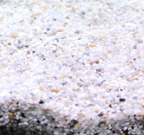 Silbermann Natural Gravel, Heller Aquarienkies, 2-4ml Körnung, 10kg von Silbermann