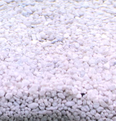 Silbermann Ocean White Sand, Bodengrund in verschiedenen Körnungen und Größen (5 kg grob) von Silbermann