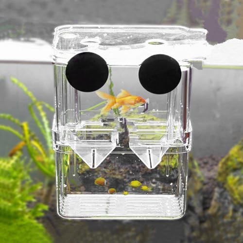 Aquarium Zuchtbox, Fischzuchtbox, Aquarien Aufzuchtbehälter, Garnelen Aufzuchtbecken, Aquarium Brutkasten mit Saugnäpfen für Garnelen, Kleine Fische, Babyfische, Guppys und Clownfische(100x70x130mm) von Silkwish