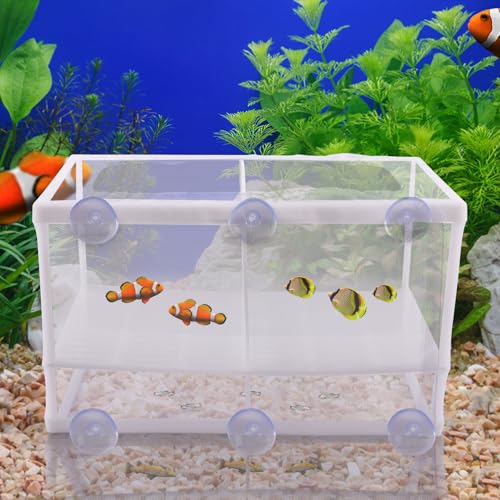 Aufzuchtbecken Aquarium mit Isolation Netz und Saugnäpfe - Ablaichkasten/Ablaichbecken für Aquarium - Zuchttanks Trennnetz für Aquarien - Babybecken Quarantänebecken Zuchtbecken - 260 x 155 x 150 mm von Silkwish