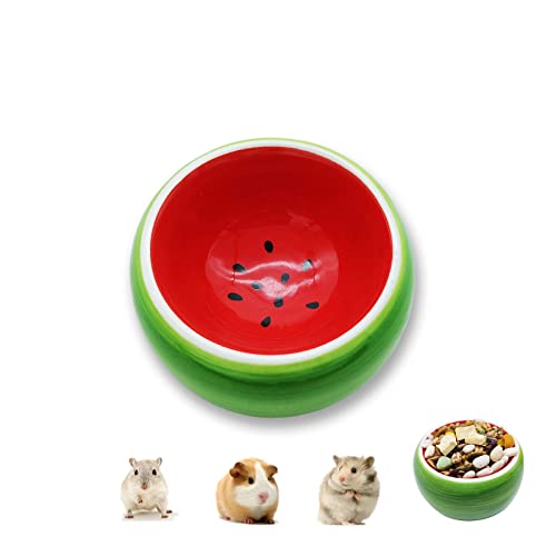 Simpcozy Hamsterschale, kaufeste Keramik-Hamsterschale, langlebige Hamster-Futternapf Wasserschale für Hamster, Rennmäuse, Chinchilla, Zuckergleiter, Eichhörnchen, Igel, Ratte (Wassermelon) von Simpcozy