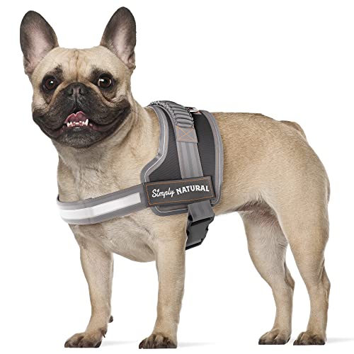 𝗧𝗵𝗲 𝗪𝗶𝗻𝗻𝗲𝗿 𝟮𝟬𝟮𝟭* Keine Pull Hundegeschirr Kleine Hunde Geschirr hund, Sicherheitsgeschirr Hund Brustgeschirr Hund mit Klettverschlüssen Reflektierendes Hundegeschirr für Hunde ohne Würgen von SimplyNatural NATURAL PET FOOD