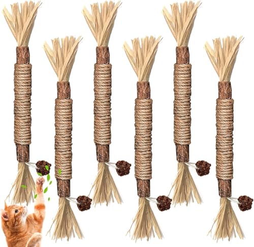 Katzenminze Sticks,6 Stück Katzenminze Sticks, Kausticks für Katzen, Katzen Zahnpflege Spielzeug, Dental Kau-Sticks helfen bei Zahnstein & Mundgeruch Gesund Hygiene Zahnpflege von Simsky