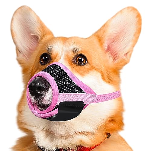 Singwow Maulkorb für Hunde, verhindert Beißen, Bellen und Kauen, atmungsaktives Air-Mesh-Trainingsmaulkorb (L) von Singwow