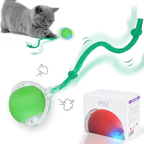 Interaktives Katzenball Spielzeug, Magic Ball Hund, Interaktives Hundespielzeug, Interaktives Katzenball Spielzeug mit USB Aufladbar, DREI Arbeitsmodi, 360°Smart Automatic Rolling Pet Ball (Grün) von Sinwind