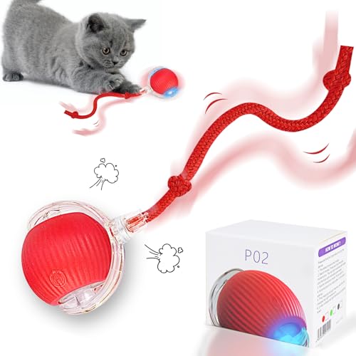 Interaktives Katzenball Spielzeug, Magic Ball Hund, Interaktives Hundespielzeug, Interaktives Katzenball Spielzeug mit USB Aufladbar, DREI Arbeitsmodi, 360°Smart Automatic Rolling Pet Ball (Rot) von Sinwind