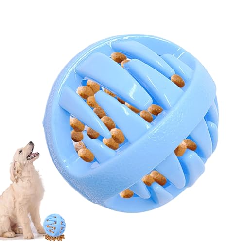 Sionhiuo Hunde Leckerli Spielzeug | Leckerliespender Für Hunde | Interaktiver Welpen Trainingsball Mit Kaugewinde Zur Mentalen Förderung Und Langeweile Vorbeugung Sionhiuo Hunde Leckerli Spielzeug | Leckerliespender Für Hunde | Interaktiver Welpen Trainingsball Mit Kaugewinde Zur Mentalen Förderung Und Langeweile Vorbeugung von Sionhiuo