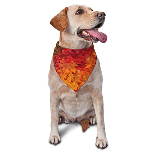 Sipeigyd Autumn Leaf-Hundehalstuch, waschbar, dreieckig, verstellbar, für Welpen, Bandana, Taschentuch für Mädchen oder Jungen, mittelgroße und große Hunde und Katzen, 1 Stück von Sipeigyd