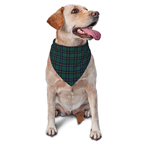 Sipeigyd Dreieckstuch für Haustiere, Clan Carmichael Tartan, grün, kariert, Haustier-Kleidungszubehör, karierter Haustier-Schal, für kleine bis große Hunde und Katzen von Sipeigyd