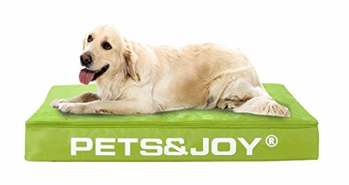 sit&joy® Sitzsack Dog Bed Large Grün von Sit&Joy