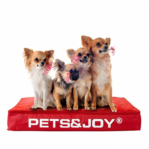 sit&joy® Sitzsack Dog Bed Large Rot von Sit&Joy