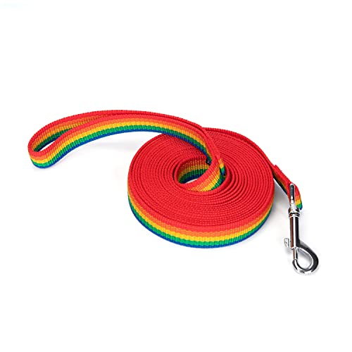 Siumouhoi Robuste, langlebige Nylon-Hundeleine, 2,5 cm breites Traktionsseil, 1,8 m 3 m 4,6 m lang, für kleine und mittelgroße Hunde (Regenbogen, 4,8 m) von Siumouhoi