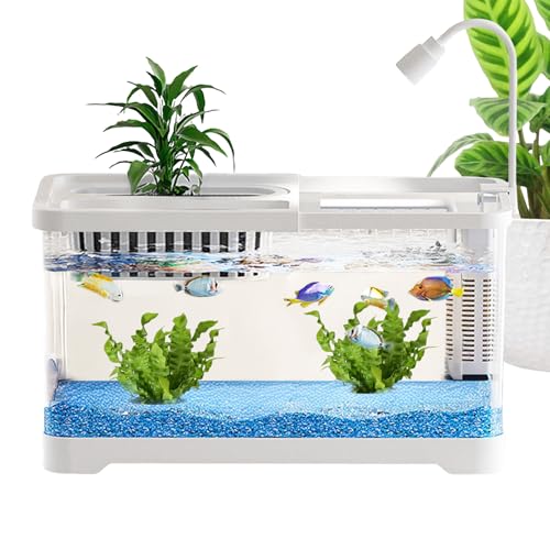 Siuwddee Betta Aquarium - Transparente Betta Aquarien mit Filter | Dekoratives Ziergefäß Für Quallen Schnecken Guppys Schreibtisch Wohnzimmer Schlafzimmer Siuwddee Betta Aquarium - Transparente Betta Aquarien mit Filter | Dekoratives Ziergefäß Für Quallen Schnecken Guppys Schreibtisch Wohnzimmer Schlafzimmer von Siuwddee